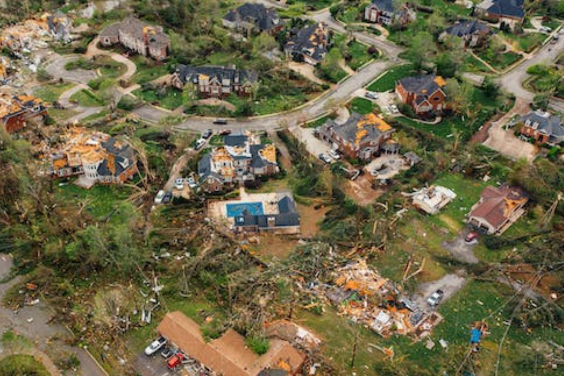 Dealing with Wind Damage